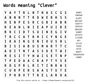 Word Search on Words meaning "Clever"